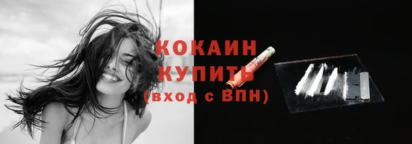 винт Вяземский