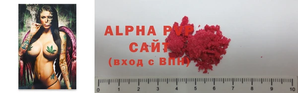 винт Вяземский