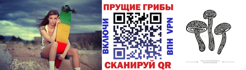 Купить где  Лысьва  Галлюциногенные грибы GOLDEN TEACHER 